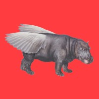 Flying hippo Logo