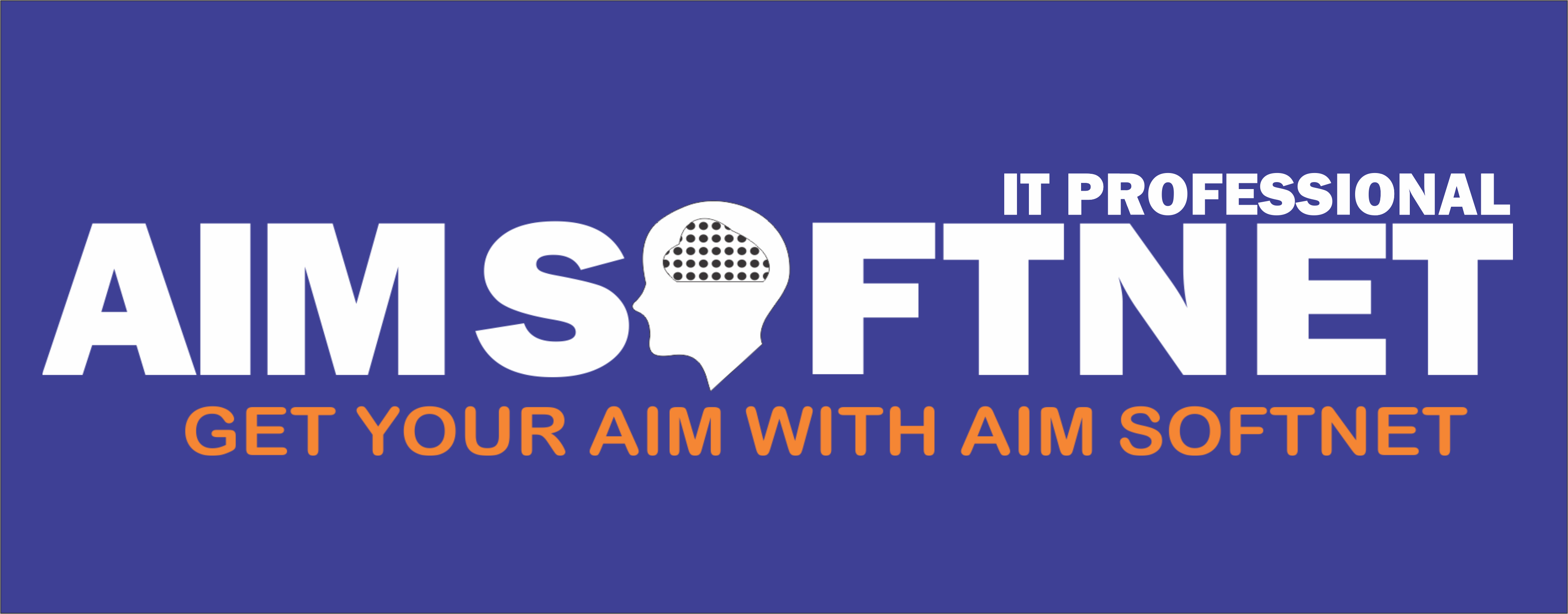 Aimsoftnet Website Development Company Logo