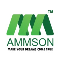 Ammson International Tech Solutions Private Limited Logo