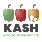 kash info solutions pvt Ltd. Logo