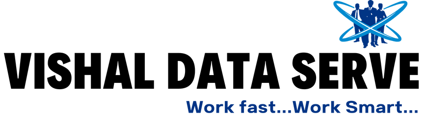 Vishal Data Serve Logo
