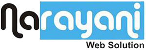 Narayani Web Solution Pvt. Ltd. Logo