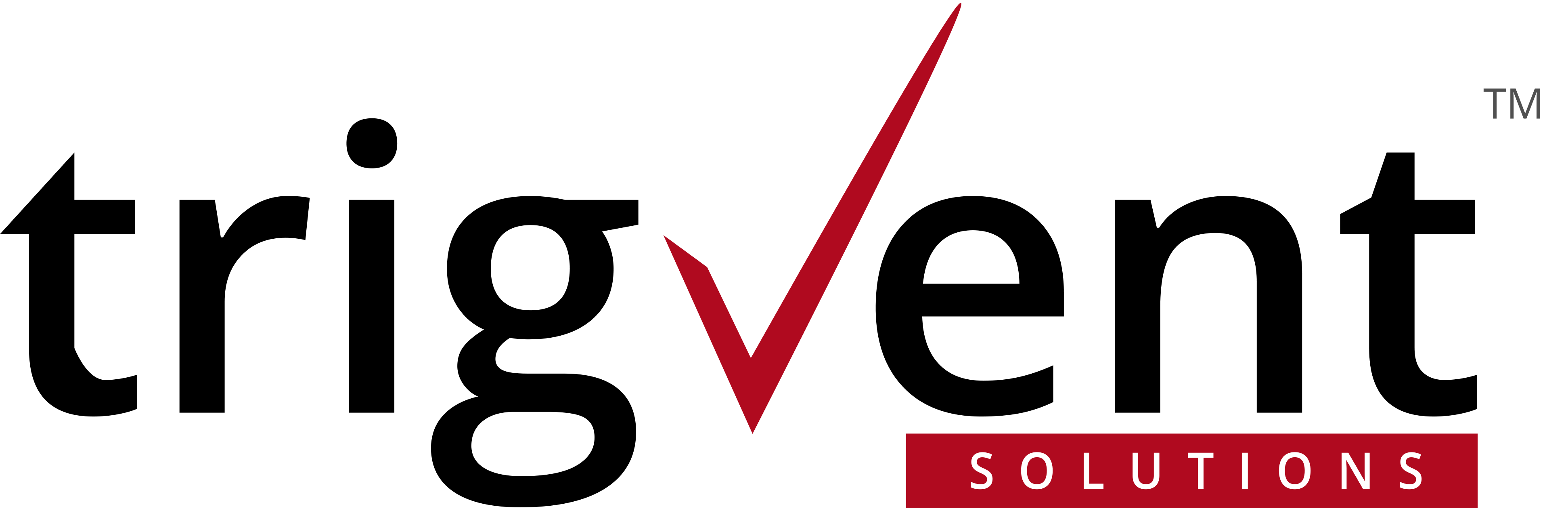 Trigvent Solutions Logo