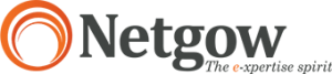 Netgow Logo