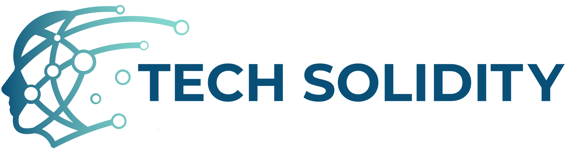 Techsolidity Logo