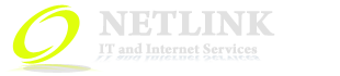 NETLINK IT SERVICES Logo