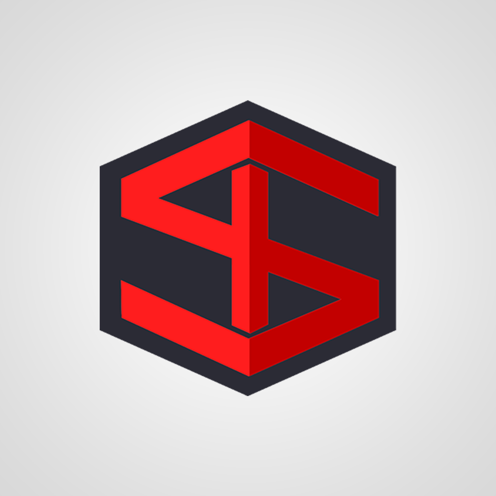 Sinon Tech Pvt Ltd Logo