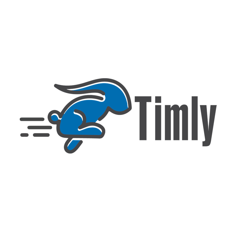 Timly AG Logo