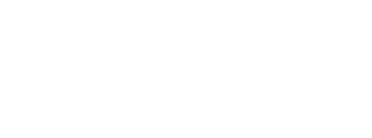 Web Design Owl Logo
