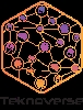 TeknoVerse Logo