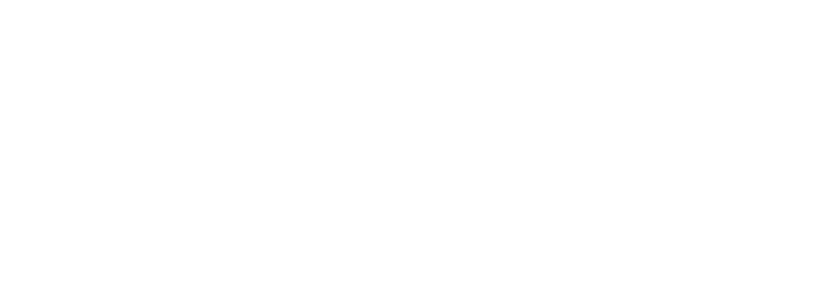 OneNeck IT Solutions Logo