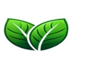 Green Webpage Logo