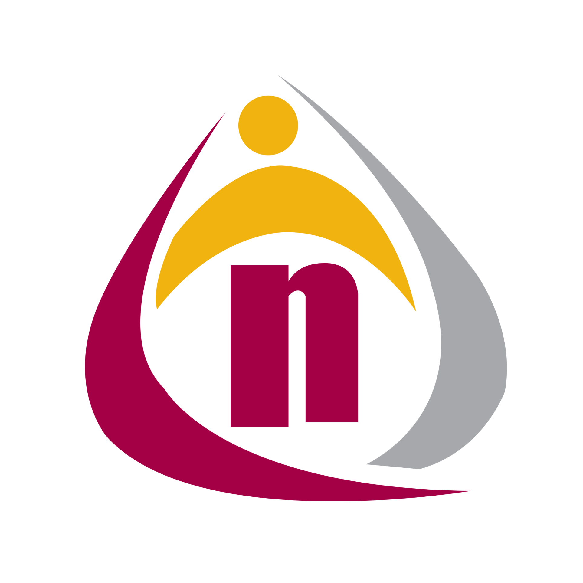 Nexgen Data Entry Logo